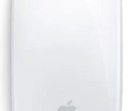 1750161392-1 1750161392-1