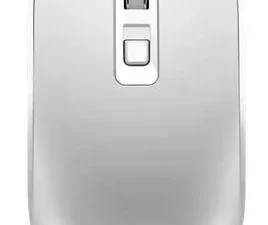 1750161448-21 1750161448-21