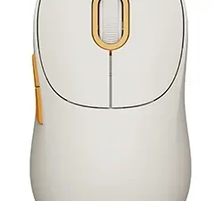 1750161477-31 1750161477-31