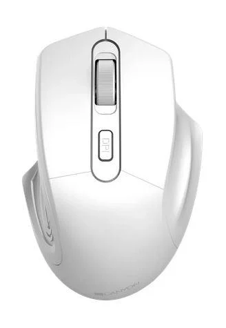 1750161545-55 1750161545-55