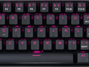 1750234537-36 1750234537-36