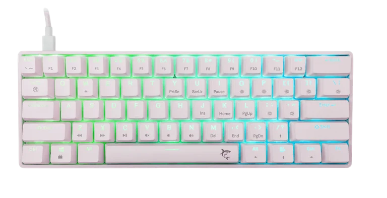 1750234573-48 1750234573-48