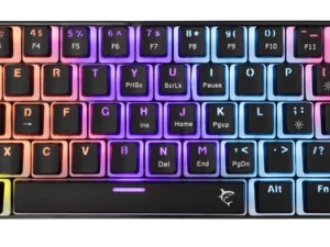 1750234596-56 1750234596-56