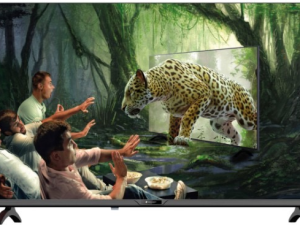 1751293219-145 1751293219-145