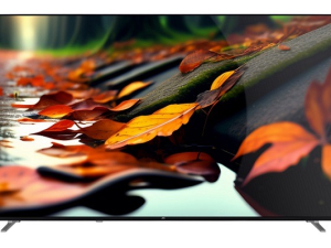 1751294343-8 1751294343-8