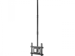 1751628995-16 1751628995-16