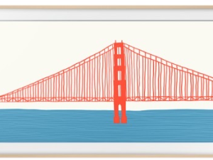 1751629018-25 1751629018-25