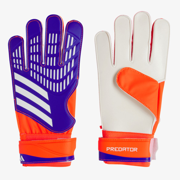 1751901884-13 1751901884-13