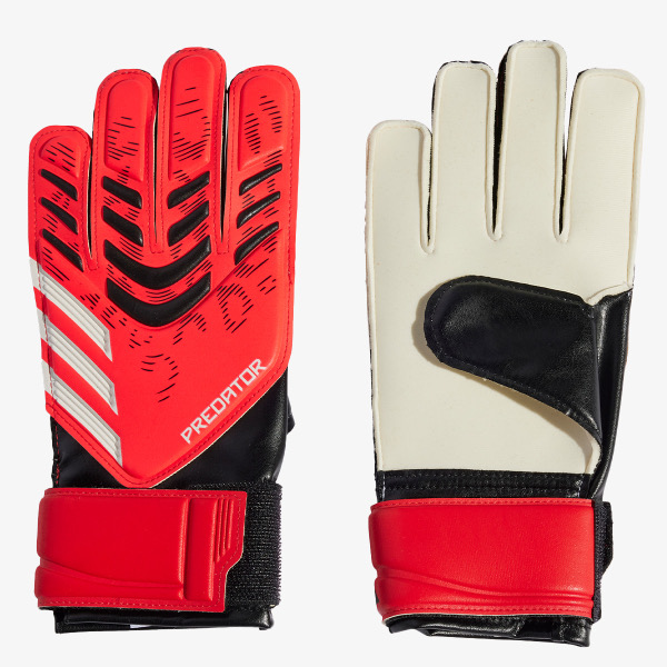 1751901894-17 1751901894-17