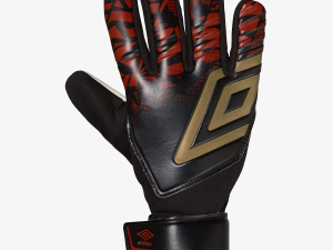 1751901898-19 1751901898-19