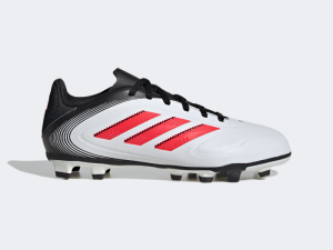 1751979762-61 1751979762-61