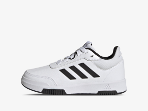 1753790279-43 1753790279-43