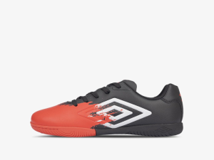 1753790527-108 1753790527-108