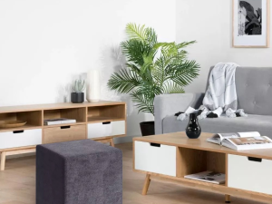 1754316544-95 1754316544-95