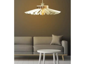 1754556215-60 1754556215-60