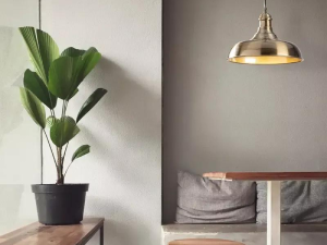 1754556239-70 1754556239-70