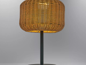 1754558961-33 1754558961-33