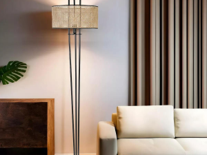 1754560305-124 1754560305-124