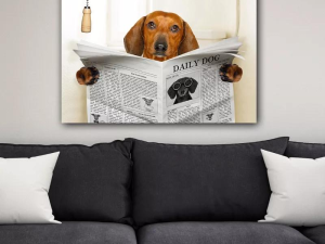 1754637547-69 1754637547-69