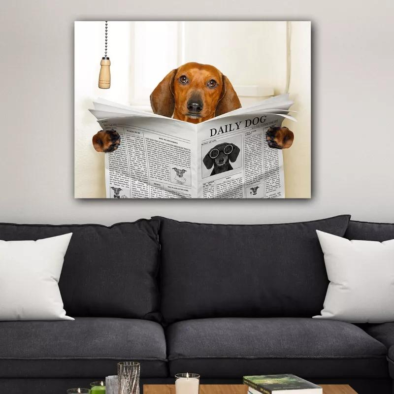 1754637547-69 1754637547-69