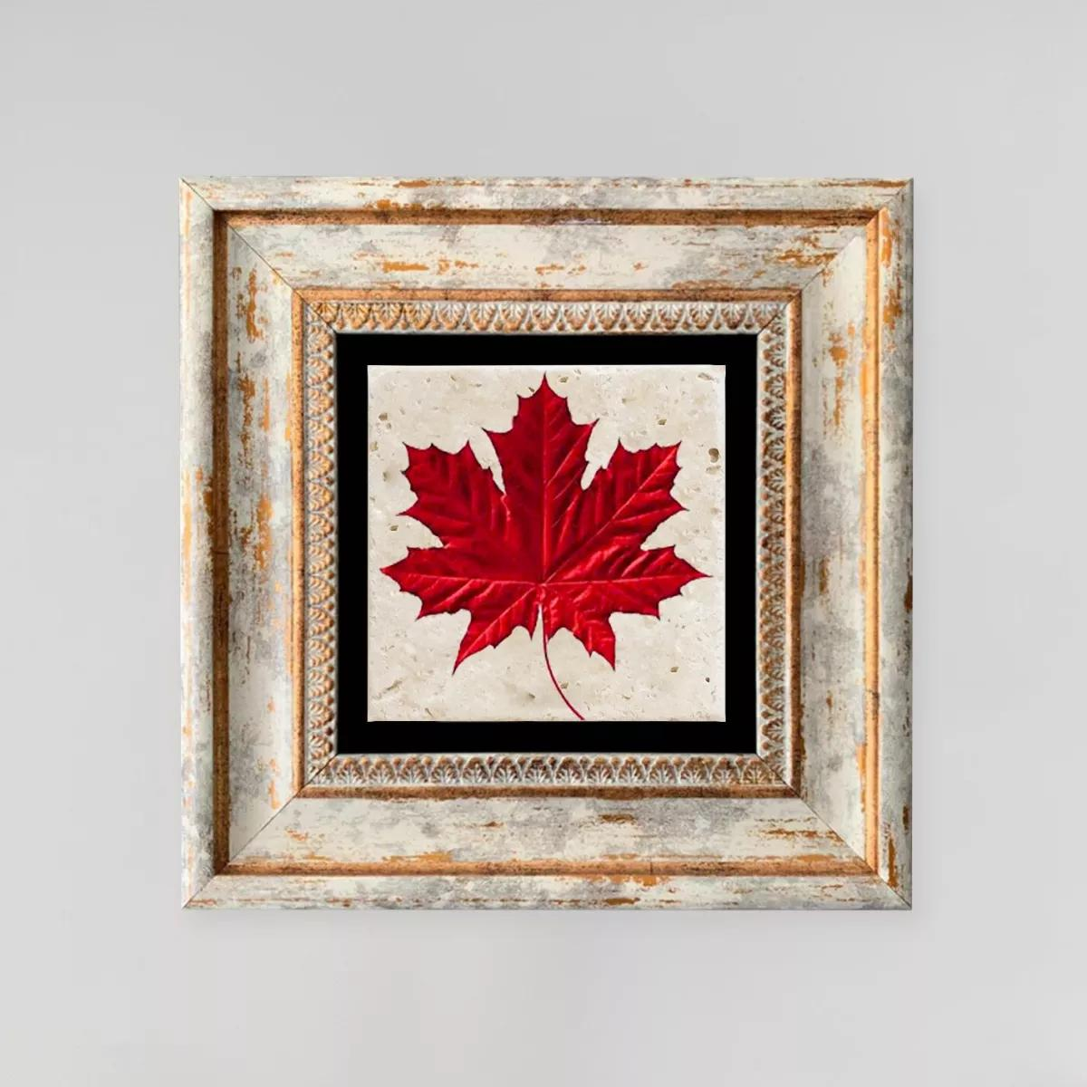 1754639005-636 1754639005-636