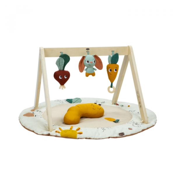 1755002507-62 1755002507-62