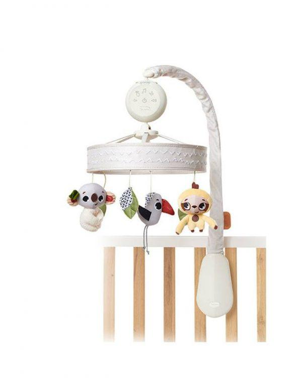 1755002564-81 1755002564-81