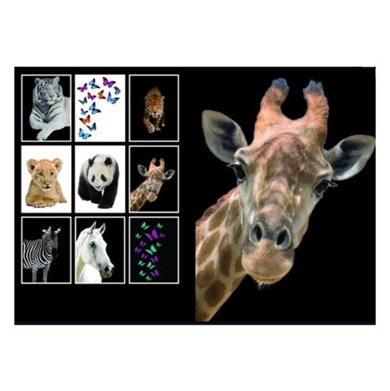 1755070559-11 1755070559-11