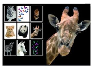 1755070608-30 1755070608-30