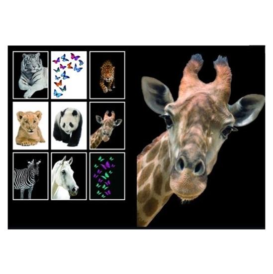 1755070608-30 1755070608-30