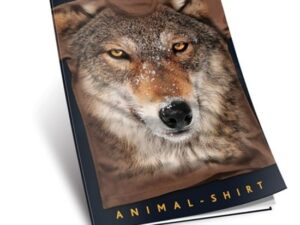 1755070634-41 1755070634-41