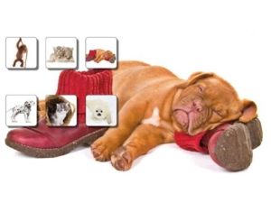 1755070700-68 1755070700-68