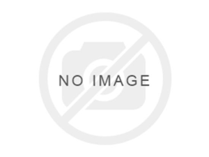 1755084686-7 1755084686-7