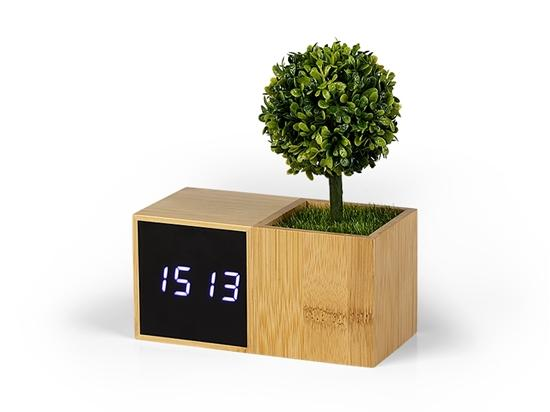 1755178344-1 1755178344-1