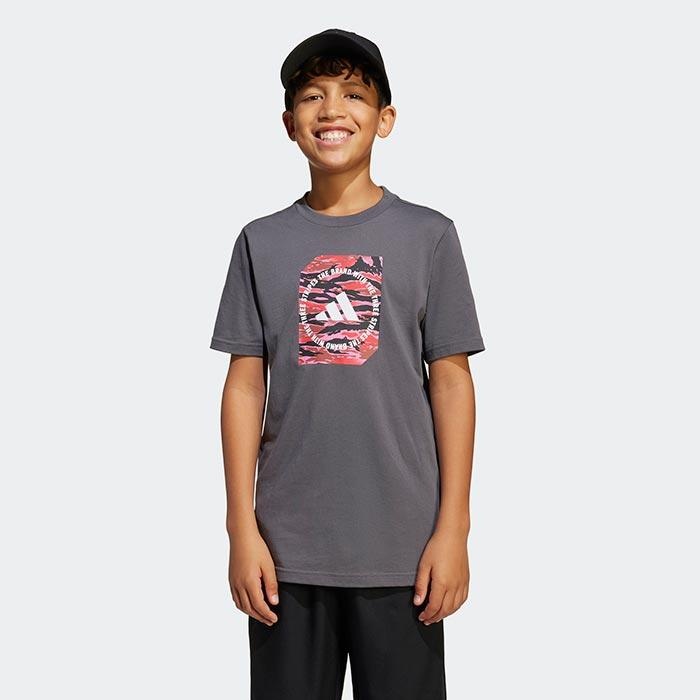 1755506175-312 1755506175-312