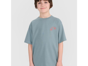 1755506421-383 1755506421-383