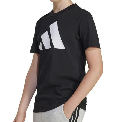 1755526354-272 1755526354-272