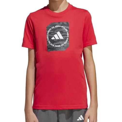 1755526357-273 1755526357-273