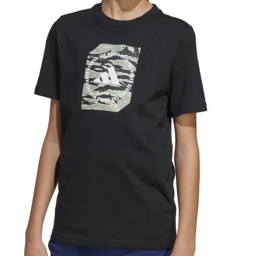 1755526375-279 1755526375-279