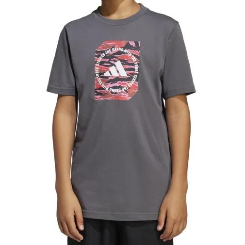 1755526378-280 1755526378-280