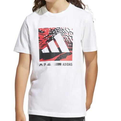 1755526390-283 1755526390-283