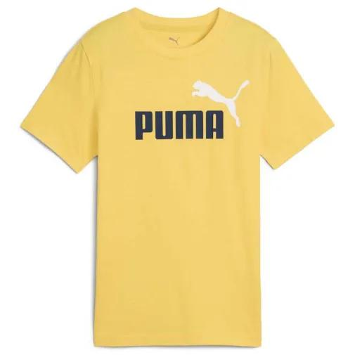 1755526473-310 1755526473-310