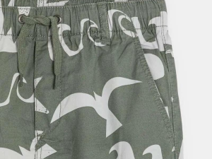 1755594838-524 1755594838-524