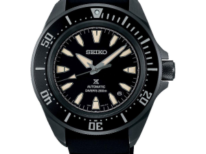 1756305567-119 1756305567-119