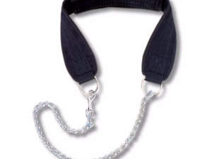 1756391509-25 1756391509-25