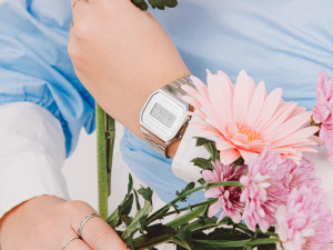 1756727797-53 1756727797-53