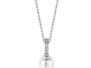 1756804908-100 1756804908-100