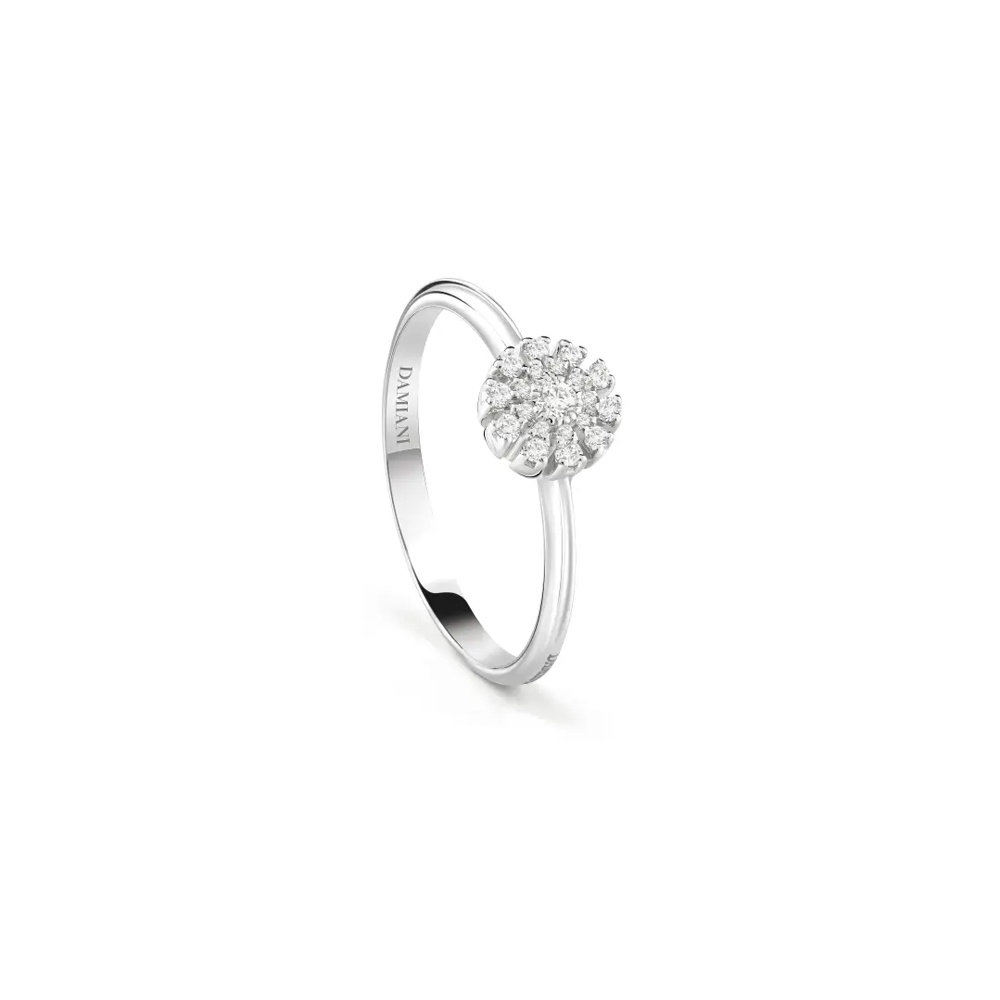 1756808150-564 1756808150-564