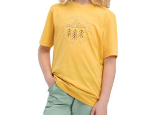 1758113857-193 1758113857-193