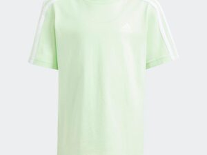 1758114141-253 1758114141-253